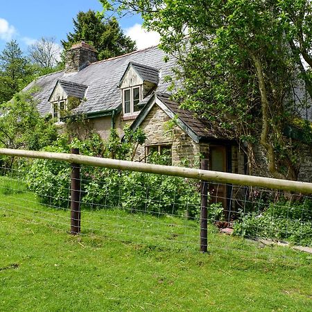 Lower Goytre Farmhouse Llanfair Waterdine 外观 照片